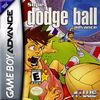 Super Dodge Ball Advance Box Art Front